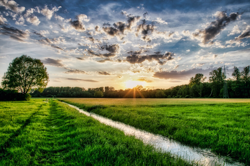 Natur erleben und bewahren | Südpfalz – Die Wirtschaftsregion