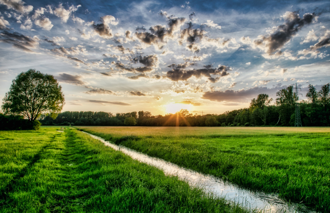 Blick auf ein Feld und Fluss bei Abendsonne