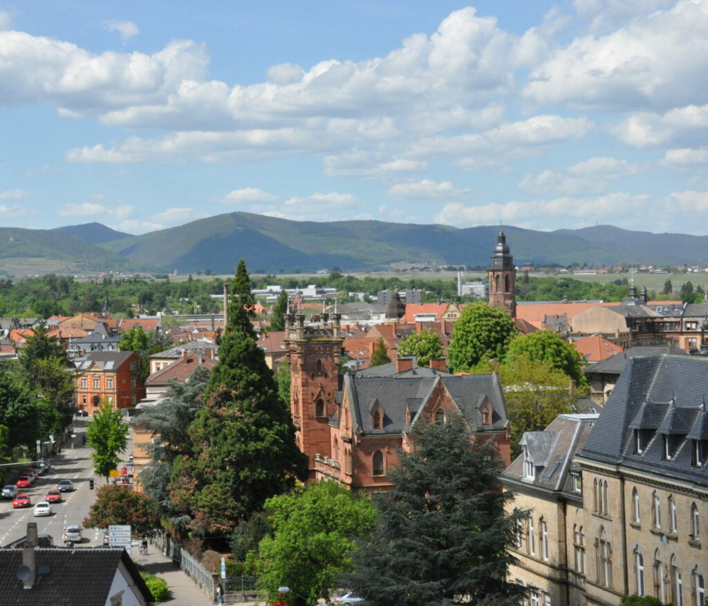 ©Stadt Landau Ansicht einer Stadt mit Häusern und Bäumen aus der Vogelperspektive