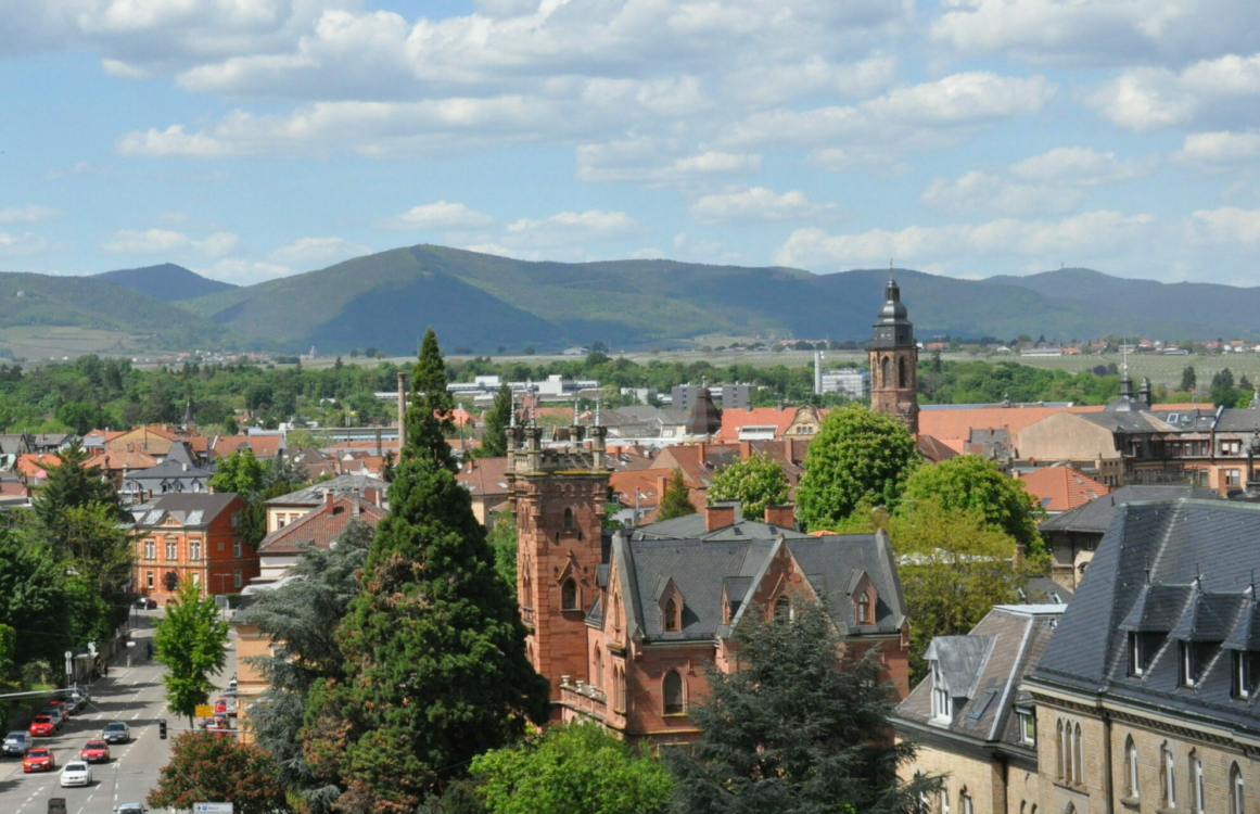 Ansicht einer Stadt mit Häusern und Bäumen aus der Vogelperspektive