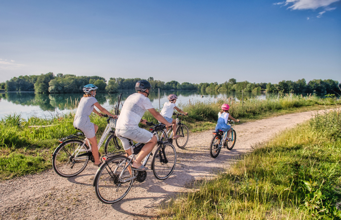 Familie bei einer Fahrradtour am Rheinufer