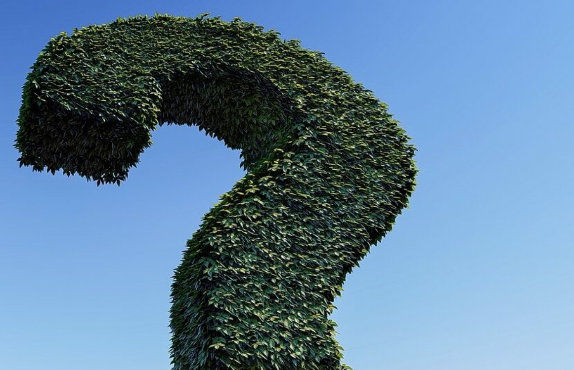 Große Heckenpflanze in Form eines Fragezeichens