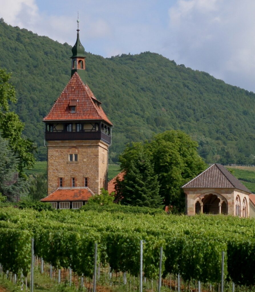 Turm am Julius-Kühn-Institut am Standort Siebeldingen © Doris Schneider